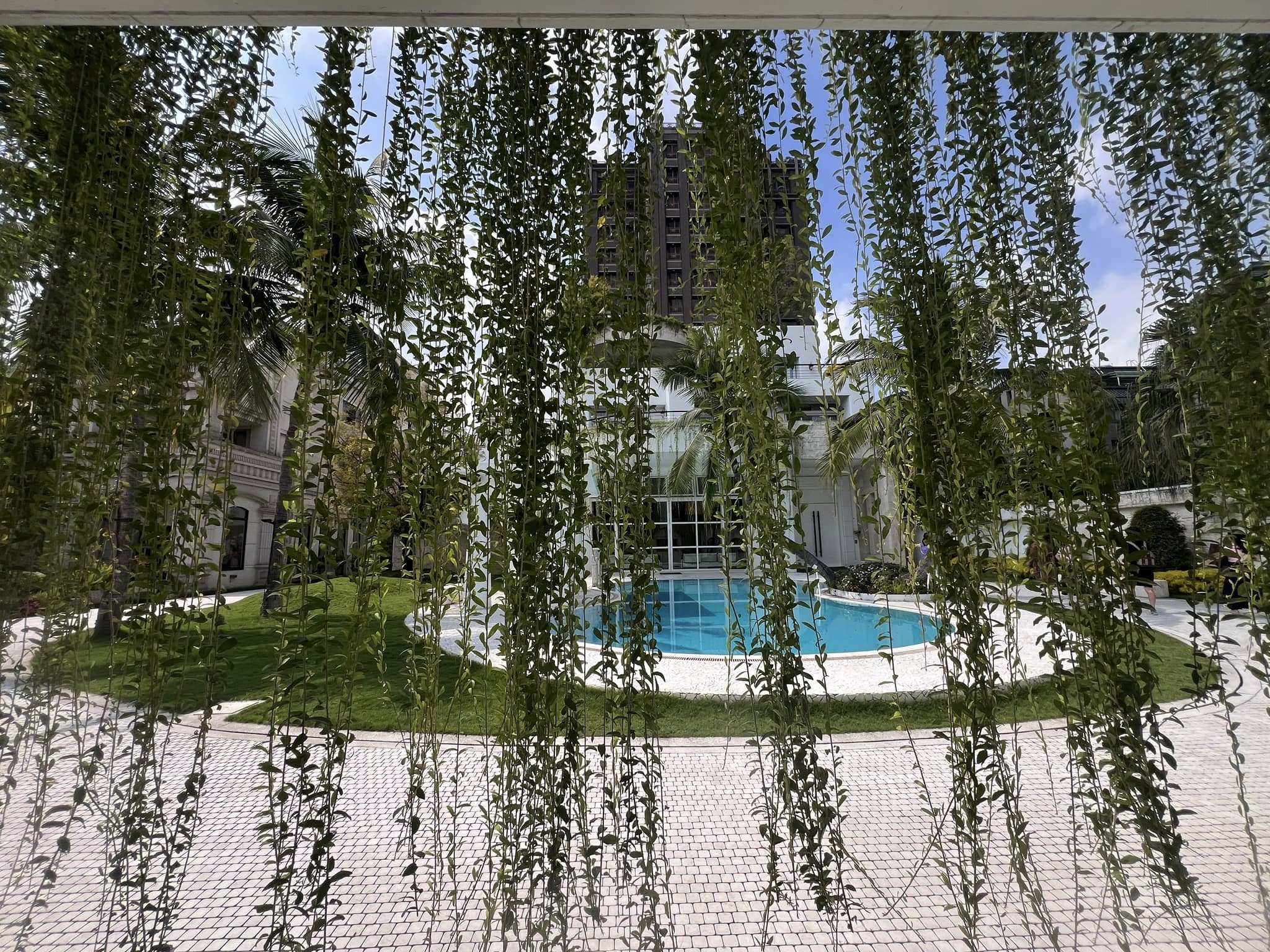blog-thumb-naile